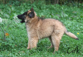 22 NOV 09